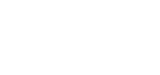 Big Frog logo, custom t-shirts and more