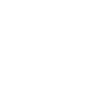 Big Frog Logo white